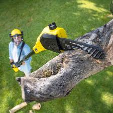 Lawn Maintenance Plans in New Lisbon, WI